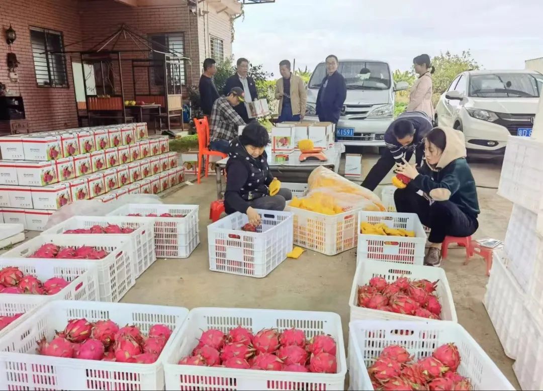 致富养殖农村方向政策新文件_农村致富新项目养殖_农村养殖致富新方向政策