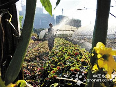 盘龙药业股票行情：种业缺乏深层次政策利好 上市与兼并困局犹存