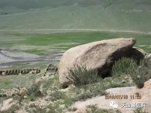 种草养鹅致富_种草养猪致富案例_种草 致富经南疆