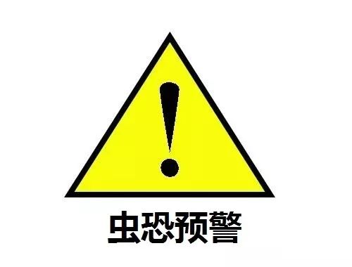 春耕养殖致富方法_致富养殖视频_致富经农业养殖视频