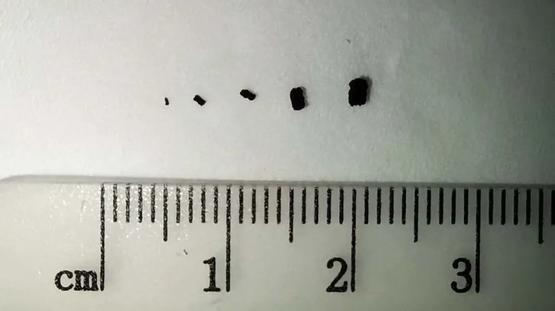 致富养殖视频_致富经农业养殖视频_春耕养殖致富方法