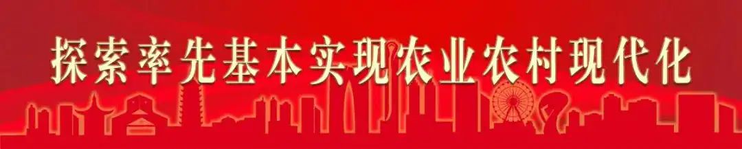 新型职业农民 ​| 常熟市——“澳龙繁育新星”陶胜&昆山市——“花木种植匠人”殷