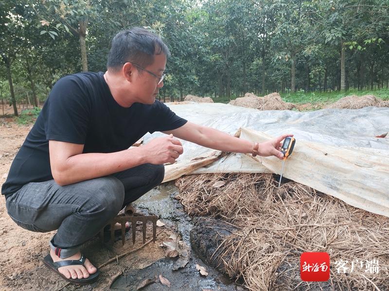 养殖广地龙技术_广地龙养殖生长周期_广地龙养殖繁殖技术