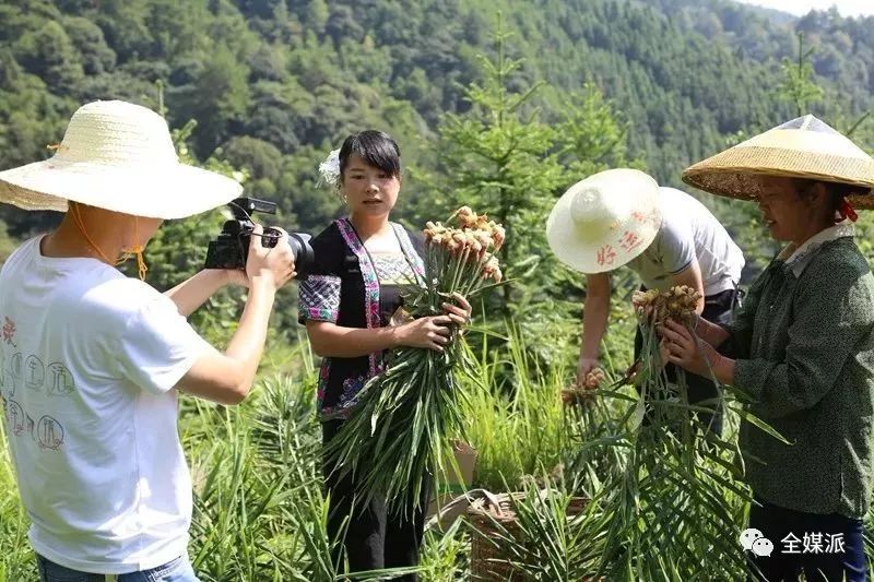 养殖视频致富经_农业节目致富经养殖视频_揭穿养殖致富视频