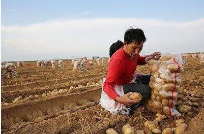 最“神奇”的沙漠，可以种菜养牛，当地人靠它发家致富