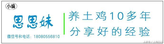 养殖户都说：冬天的土鸡不好养，成本还高，是这样吗？