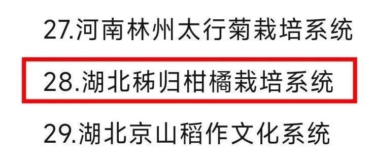 盆栽柑橘的种植技术_盆栽柑橘种植技术与管理_盆栽柑橘种植技术视频教程