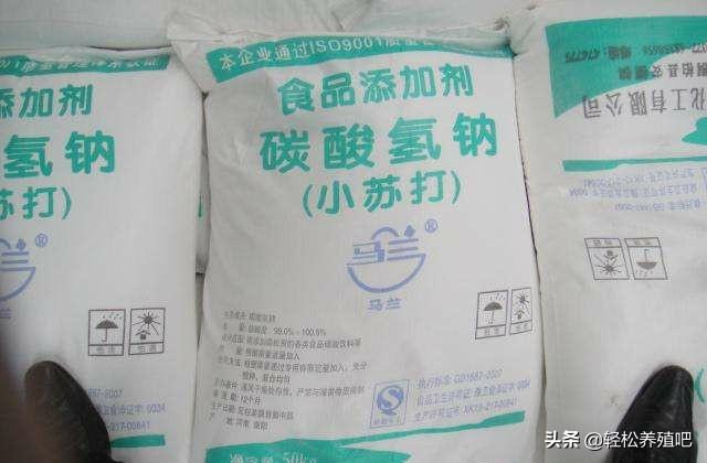 养殖小白鸡致富_致富项目养鸡_致富小白养殖鸡视频