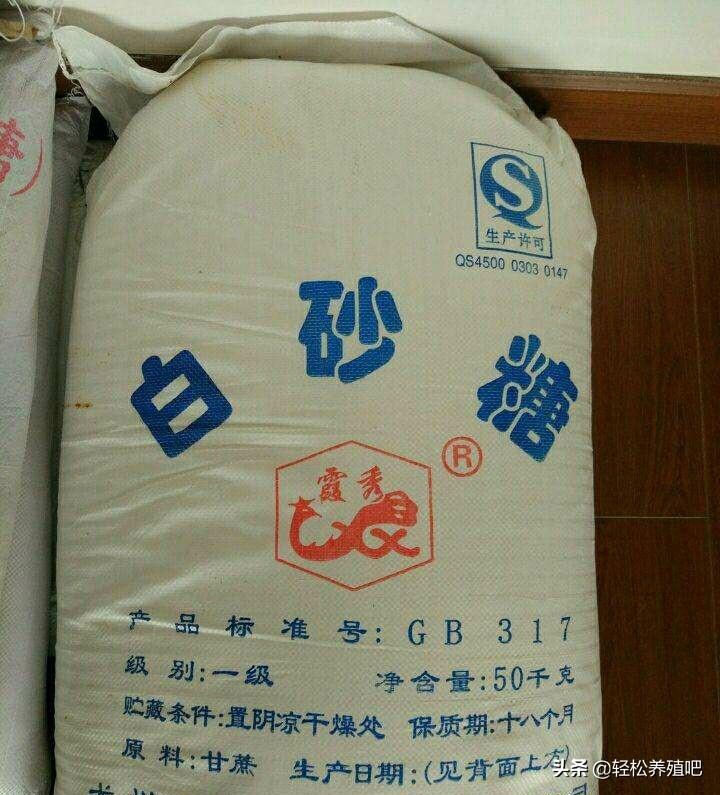 致富项目养鸡_养殖小白鸡致富_致富小白养殖鸡视频