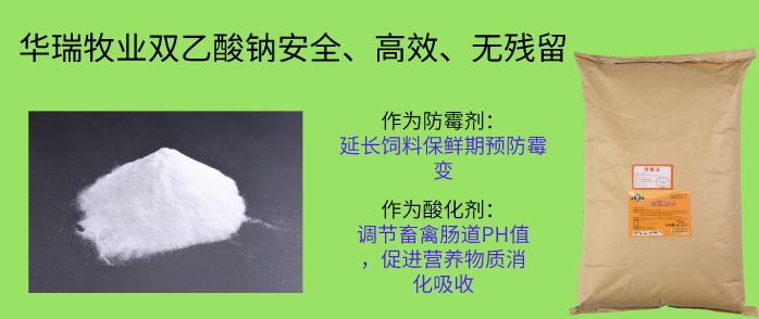 荷斯坦奶牛养殖技术_斯坦荷养殖奶牛技术怎么样_荷斯坦奶牛养殖成本