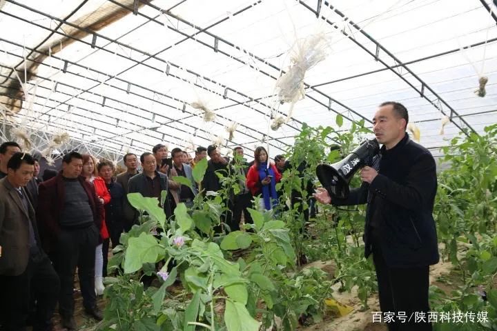 西安养殖基地_西安养殖致富_西安养殖企业