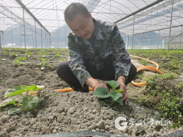 致富经养鱼致富视频_四川致富经养鱼视频播放_致富经养殖鱼视频