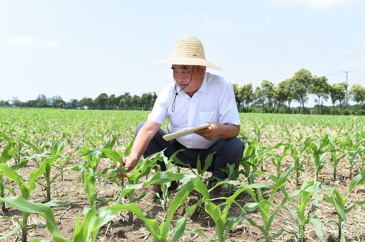 淮北的农村_淮北石台村农民致富经_安徽淮北石台镇石台村