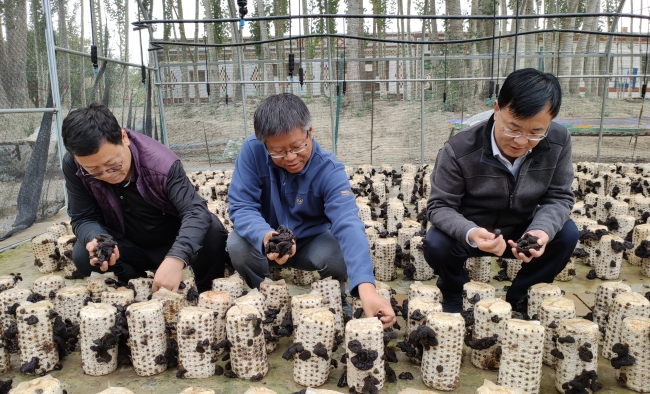 中草药扶贫_男子种植中草药脱贫致富_扶贫中药种植国家补助