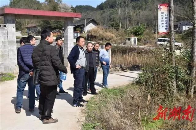 花垣种植致富果_致富果树_农村种植果树致富好项目