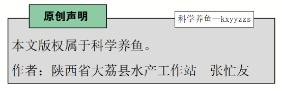 云南养虾培训技术地址_云南虾的养殖技术_云南养虾怎么样