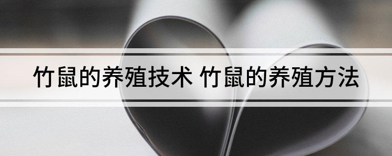 竹鼠的养殖技术