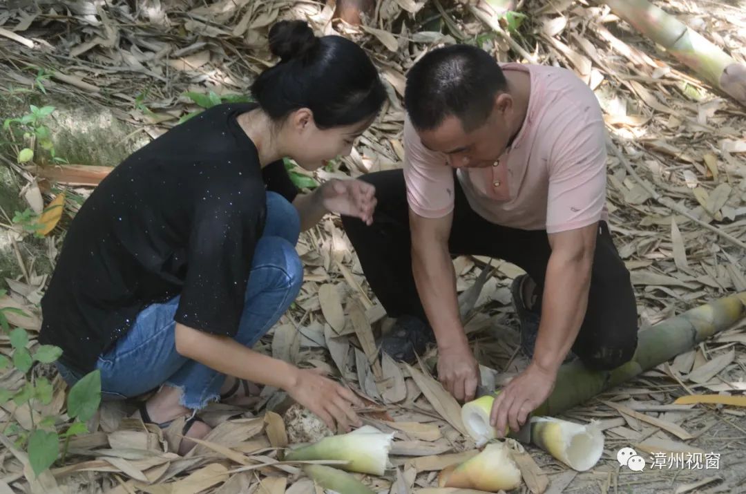 致富经竹笋致富视频_水竹笋种植_水竹笋致富经