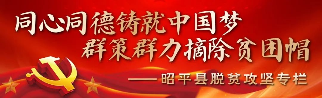 山老鼠养殖技术_老鼠养殖场视频_老鼠养殖