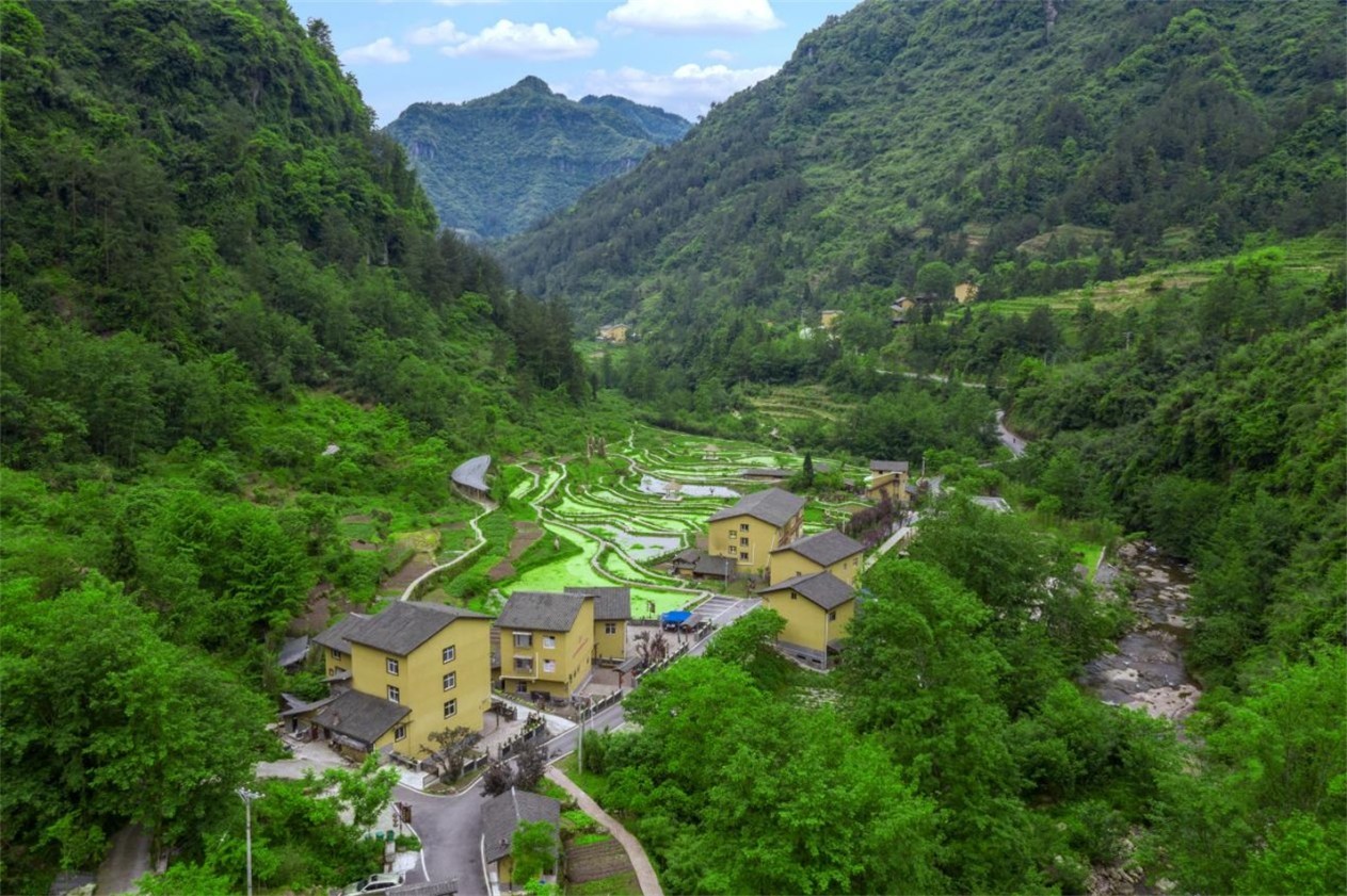 致富经养峰_养牛羊致富故事_农村致富小项目养黄鳝