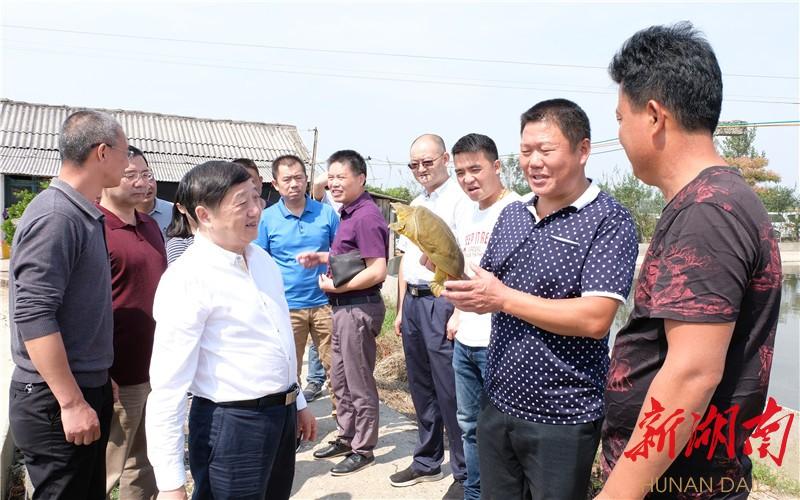 致富养殖沙鳖好吗_养殖沙鳖致富_致富养殖沙鳖怎么样