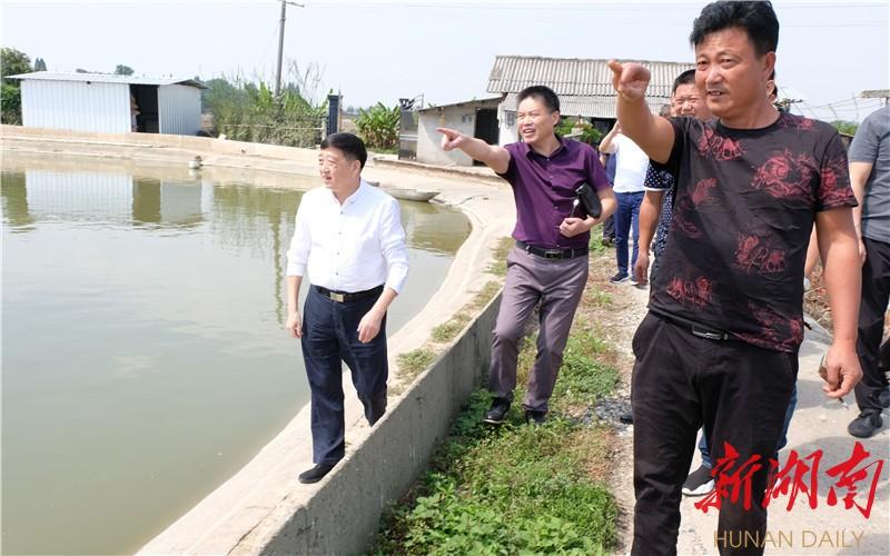 致富养殖沙鳖怎么样_致富养殖沙鳖好吗_养殖沙鳖致富