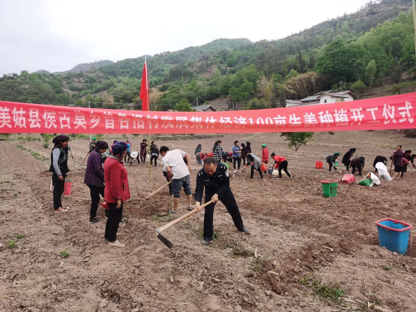 农村种植姜致富_生姜种植致富经_农村种植姜挣钱吗