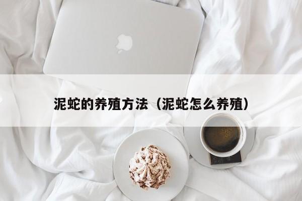 泥蛇的养殖方法（泥蛇怎么养殖）