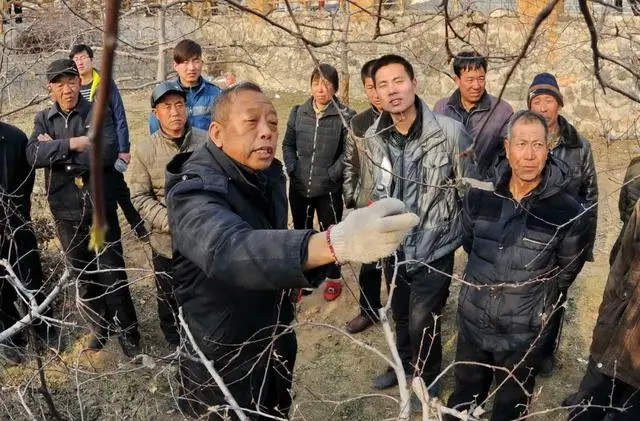 李保国山区开发与林果产业创新团队：只为太行山果红