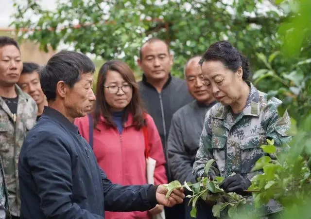 河北种植致富果_河北种植什么果树_河北农村种植致富项目