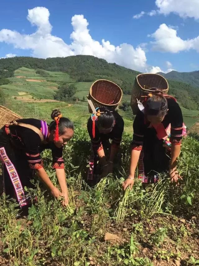 花生致富加工视频_致富经花生加工_花生加工厂赚钱吗