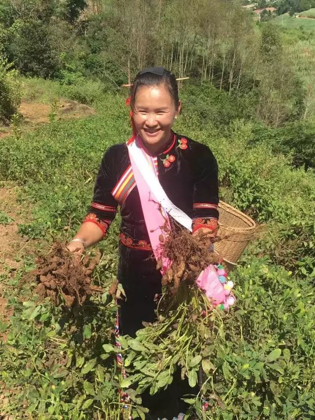 花生加工厂赚钱吗_花生致富加工视频_致富经花生加工