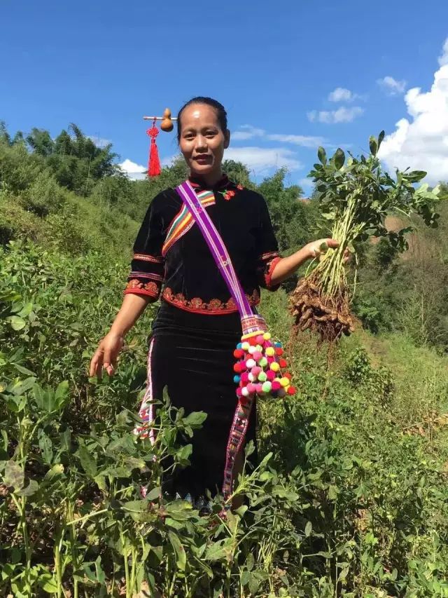 花生致富加工视频_花生加工厂赚钱吗_致富经花生加工