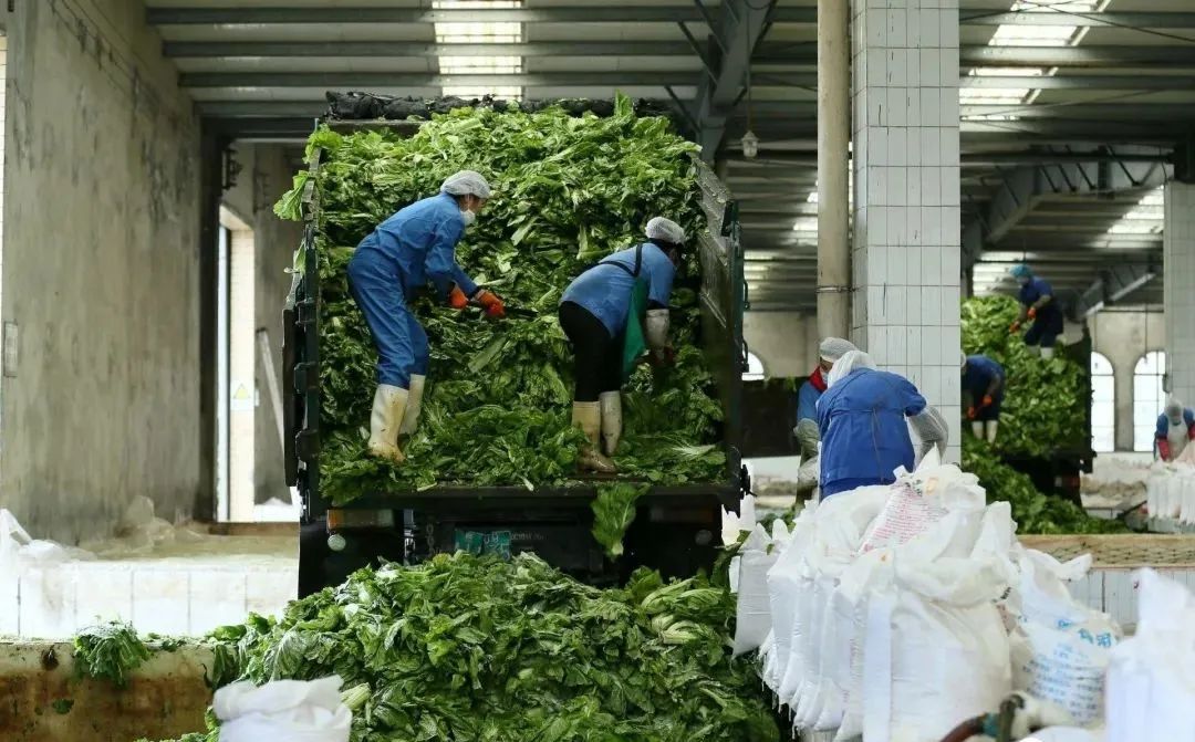 致富经花生加工_农村花生加工厂_花生致富加工视频