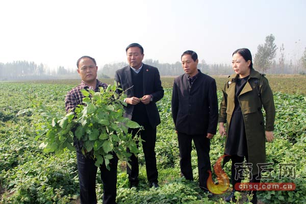 致富药材种植_种植中药致富_种植中草药利润如何