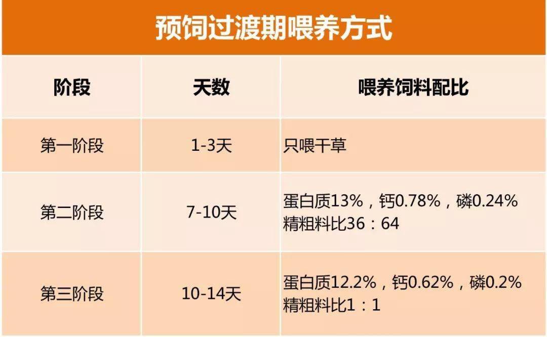 育肥羊养殖技术视频_养羊育肥方法_视频养殖羊育肥技术大全