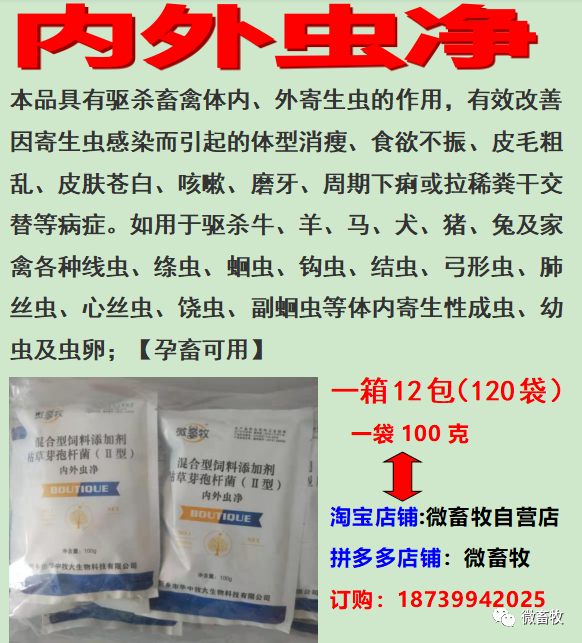 育肥羊养殖技术视频_视频养殖羊育肥技术教程_养羊育肥方法