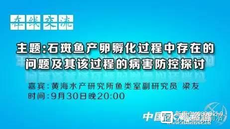 石斑鱼产卵孵化中有多少细节需要注意，超级详细