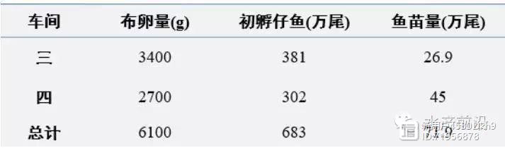 珍珠养殖龙胆池塘技术要点_珍珠龙胆池塘养殖技术_珍珠养殖龙胆池塘技术与管理