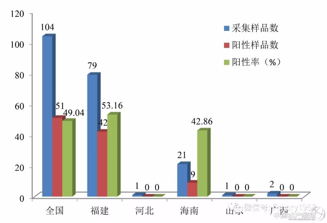 珍珠养殖龙胆池塘技术要点_珍珠龙胆池塘养殖技术_珍珠养殖龙胆池塘技术与管理