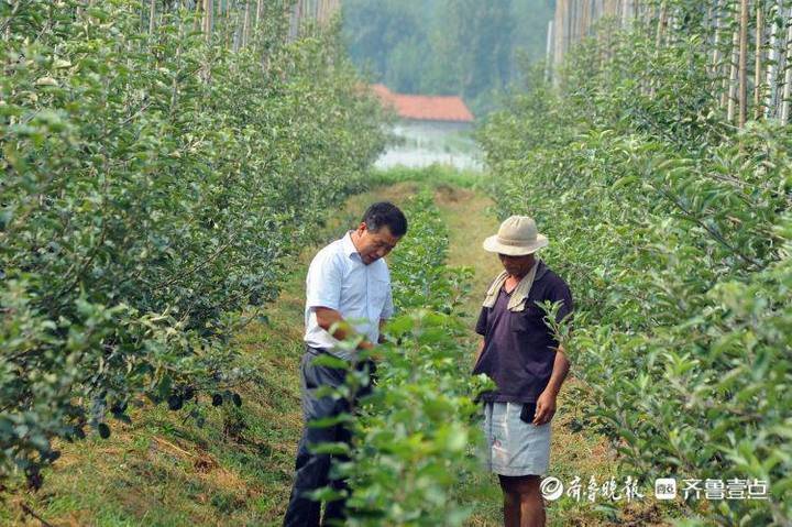 沂源县富豪_沂源 致富经_沂南致富能人