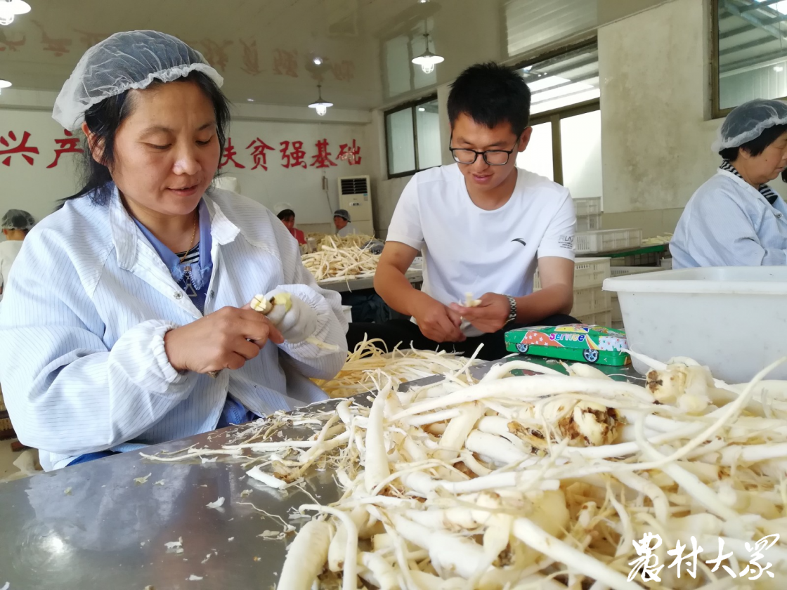 沂源县“好青年”让乡村振兴充满“青春力量”