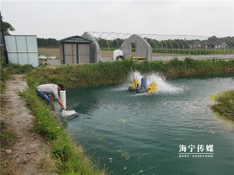 致富经澳洲龙虾养殖全部视频_澳洲淡水小龙虾致富经_致富经澳洲淡水龙虾养殖视频