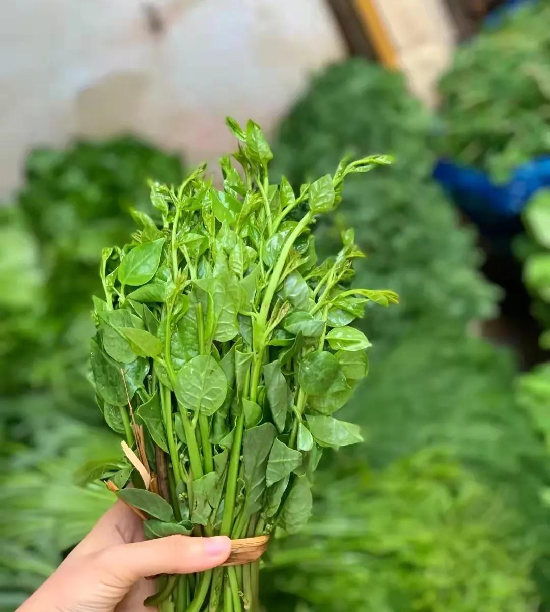 致富棠梨花种植视频_种植棠梨花致富_棠梨子种植技术