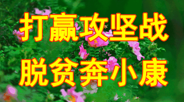 灰树花种植技术_灰树花种植条件_灰树花种植原料配方