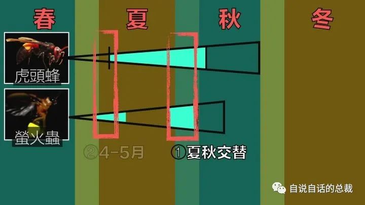 人工怎样养殖马蜂_人工马蜂养殖技术视频_人工饲养马蜂