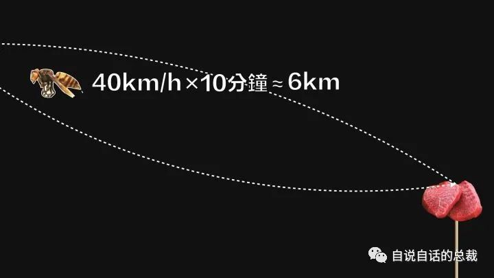 人工怎样养殖马蜂_人工马蜂养殖技术视频_人工饲养马蜂