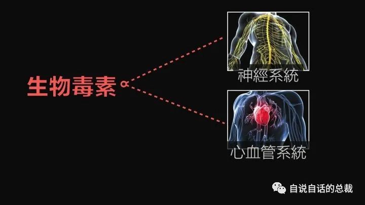 人工饲养马蜂_人工怎样养殖马蜂_人工马蜂养殖技术视频