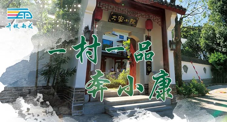 “一村一品”奔小康丨新田村：千亩草花种植基地喜开“致富花”