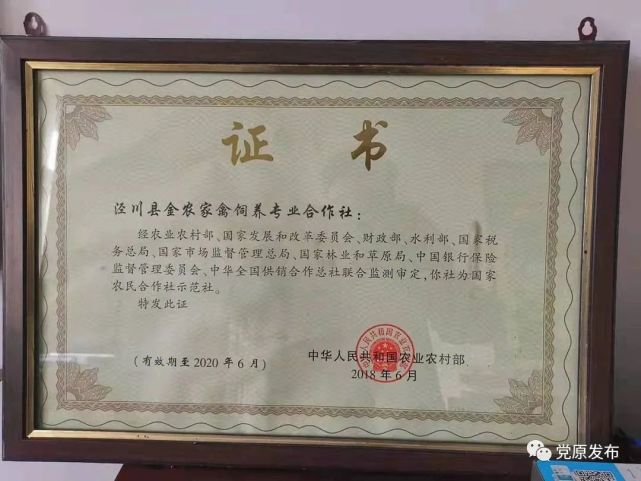 致富手工挂面做法视频_致富手工挂面做什么好吃_致富经做手工挂面